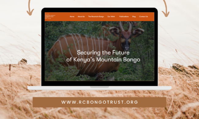 Conservancies-website-design-solutions-by-jeri-consulting