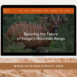 Conservancies-website-design-solutions-by-jeri-consulting