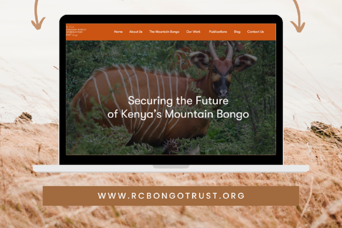 Conservancies-website-design-solutions-by-jeri-consulting