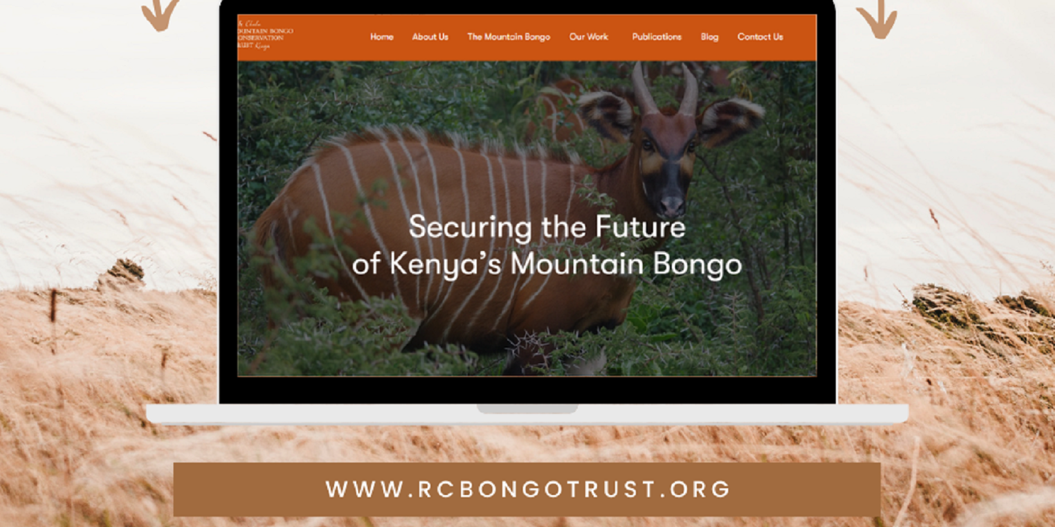 RC Bongo Trust: Website Design and Development | Jeri Consulting