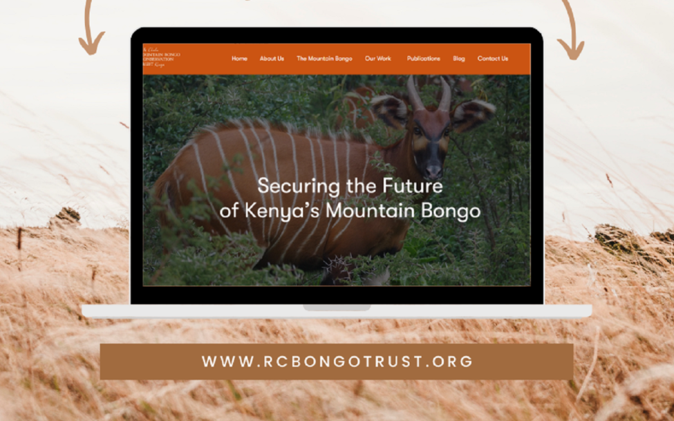 Conservancies-website-design-solutions-by-jeri-consulting
